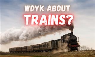 QUIZ: What Do You Know About Trains?
