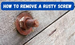Remove Rusted Screws from Wood With These Simple Steps