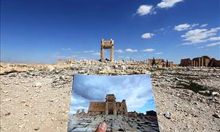 Archeologists Scramble To Salvage Priceless Palmyra
