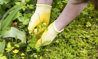 Say Goodbye to Your Weeds With These Natural Weed Killers