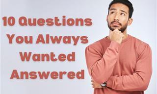10 Questions You Always Wanted Answered