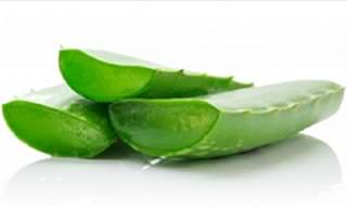 The Miraculous Health Benefits of Aloe Vera