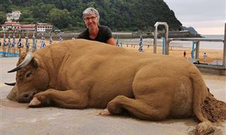 Sand Masterpieces: Animals Like You've Never Seen