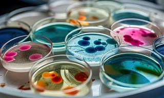 Scientists Build an Artificial Cell from Scratch