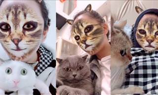 Adorable: Pets' Reaction to Cat Filters is Hilarious