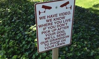 These Hilarious Yards Signs Had the Neighbors Chuckling