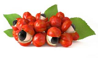 Learn About Guarana and Its Health Benefits