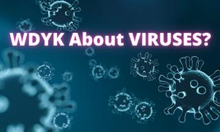 QUIZ: How Much Do You Know About Viruses?