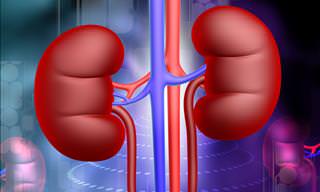 These Habits Are Damaging Our Kidneys!