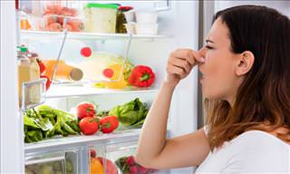 How to Get Rid of Bad Odors In Your Fridge