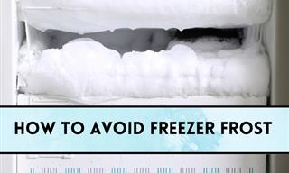 TIPS & TRICKS: Here’s How You Can Prevent Freezer Buildup