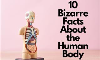 10 Bizarre and Strange Facts About the Human Body