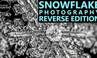 How Snowflakes Are Reborn - an HD Closeup Video