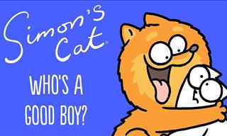 Watch Simon's Cat Deal With a Very Friendly Doggie
