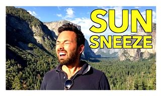 Are You a Sun Sneezer? You Are Definitely Not the Only One