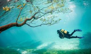 This Green Lake Becomes an Underwater Wonderland