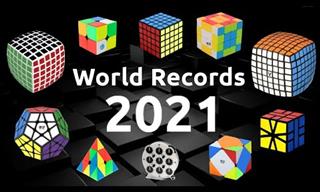 Meet the World's Current Rubik's Cube Record Holders