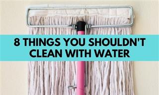 Avoid Getting These Items Wet When You’re Cleaning Them