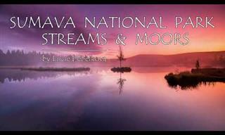 Admire the Mystical Streams and Moors of Czechia in 4K
