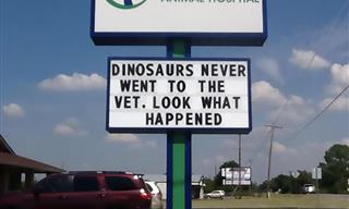Check Out These 14 Hilarious Vet Signs