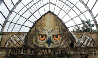 20 of the Most Stunning Works of Street Art