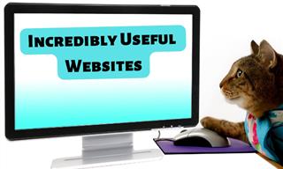 You May Need These Valuable Websites Someday!