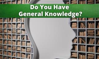 QUIZ: Do You Have General Knowledge?