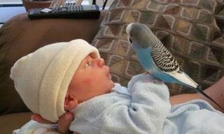 Hilariously Cute: "Mom? That Bird Just Said My Name!"