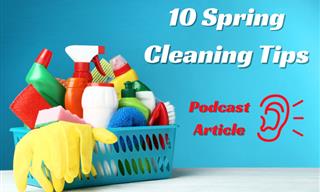 10 Smart Spring Cleaning Tips to Refresh Your Home