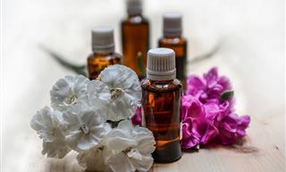 12 Helpful Uses for Eucalyptus Oil