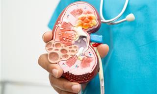 The Link Between Kidney Damage and Diabetes