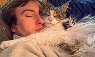 These Cats Just Adore Napping With Their Owners