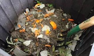 Make a Compost in 6 Easy Steps