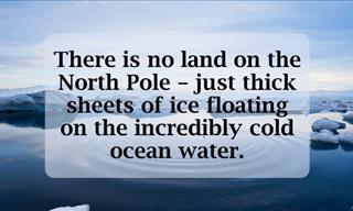 12 Fascinating Facts About the North Pole