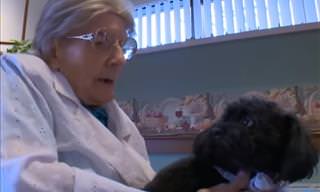 Nala the Poodle Visits Her Friends at the Nursing Home