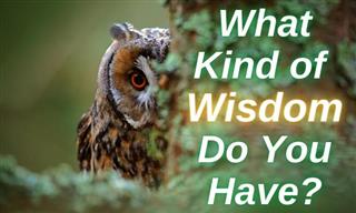 Test: What Kind of Wisdom Do You Have?