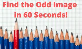 QUIZ: Can You Find the Odd Photo in 60 Seconds?