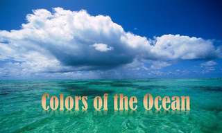 The Beauty of the Colors of the Ocean