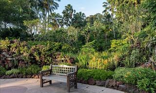 See the Gorgeous Attractions of Singapore Botanic Gardens