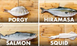 Learn to Fillet 20 Different Fish Varieties Like a Pro