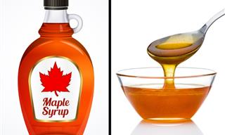Understanding the Differences between Honey & Maple Syrup
