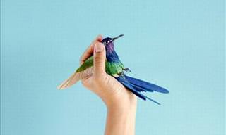 Colorful Paper Bird Sculptures