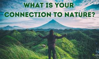 Test: What is Your Connection to Nature?