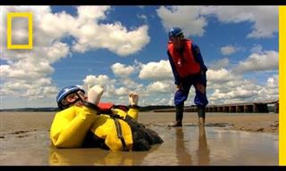 How Does a Quicksand Rescue Work?