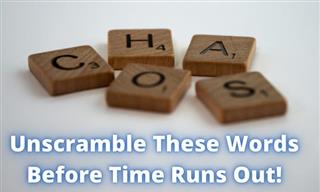 Quiz: Unscramble These Words in Time!