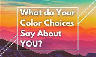 Personality Test: What Do Your Color Choices Reveal?