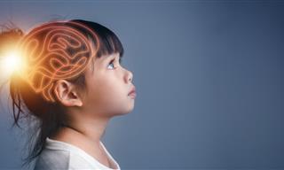 The Theory of Multiple Intelligences Explained