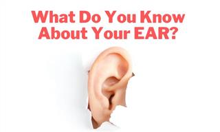 QUIZ: What Do You Know About Your Ears?