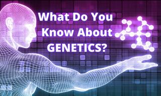 Quiz: What Do You Know About Genetics?