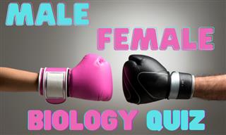 Men vs. Women: A Biology Test!